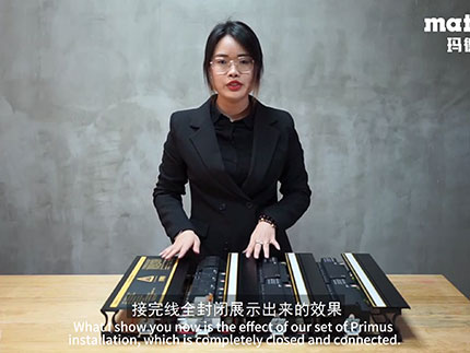 Platinum intelligent L